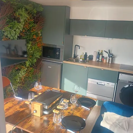 Jungle Au Centre Des Carroz Apartment Les Carroz d'Araches